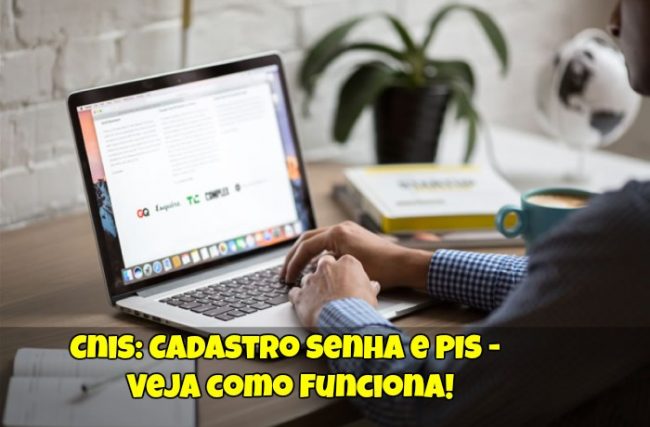 Cnis: Cadastro Senha e PIS