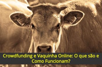 Crowdfunding-e-Vaquinha-Online