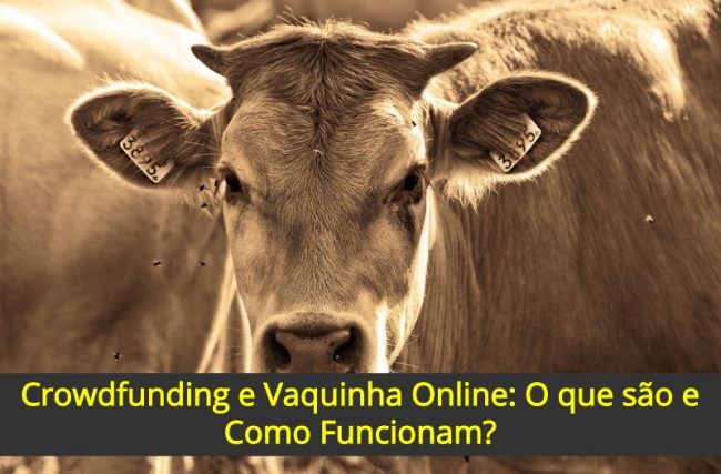 Crowdfunding e Vaquinha Online: O que são e Como Funcionam?